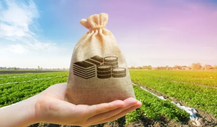 Tips for Buying Agricultural Land in Egypt: A Complete Guide