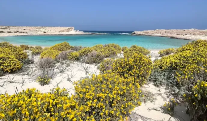 Orascom Ras El Hekma Sales Report: A New Milestone in Egypt’s Real Estate